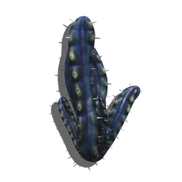 Each stem of this columnar cactus grows in a subtle corkscrew pattern, forever twisting away from something unseen.