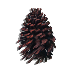 A large organic structure, housing the seeds of coniferous megaflora. This specimen has dried out, its scales flexed back to release the seeds inside.