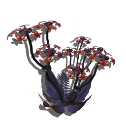 This plant's delicate waxy flowers retain precious moisture in dry environs, and can withstand the harshest desert sun.