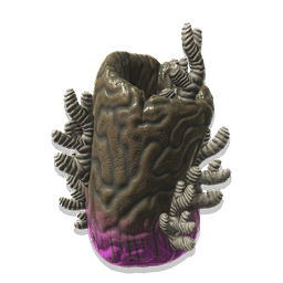 A piece of flotsam, wrenched from its years of drifting in the water when it became entangled in a fishing lure.