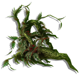 An attractive knot of roots, cultivated to maintain its current shape and minimize rampant spread.