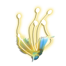 A small, attractive plant, native to humid climates. The dewy "tassels" radiate a gentle light, attracting nocturnal pollinators.