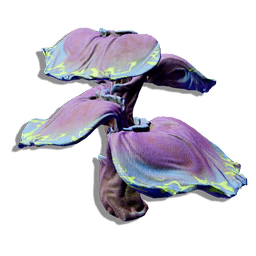 The broad surfaces of these algae leaves rapidly absorb and process huge volumes of salt water, storing the processed liquid as a powerful acid.