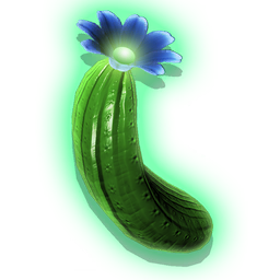 Succulent, edible cactus flesh from the <span class="typeTRADEABLE">Echinocactus plant</span>. As well as being juicy on the tongue, the flesh has many industrial uses.