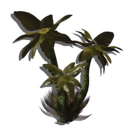 A welcome sight for weary Travellers, this distinctive, attractive tree indicates the presence of fresh water in desert climates.