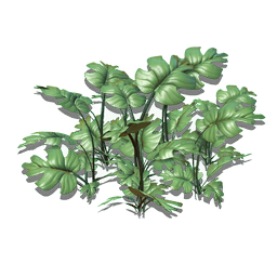 A tough ornamental grass, suitable for growing in all biomes, soil types, and weather conditions. Cloven paw bears more structural similarity to a shrub than a true grass, and features large glossy leaves for rapid photosynthesis.