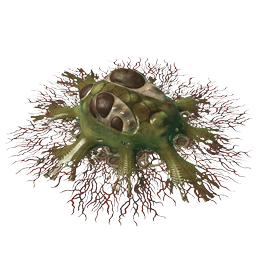 Gelatinous and slowly pulsing, this puddle of living slime smells sweeter than would be imagined.