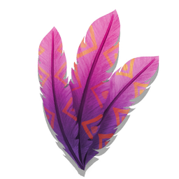 A vacuum-sealed bundle of dazzlingly beautiful feathers. The animal that gave its life for this impossible, kaleidoscopic, charm is long since extinct.